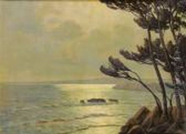 Moonlightin The Villefranche Bay - view 1