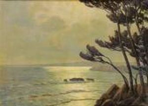 Moonlightin The Villefranche Bay
