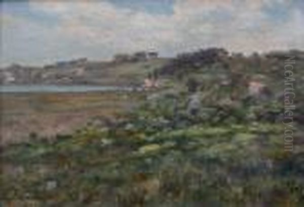 Paysage - view 1