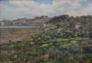 Paysage Paysage