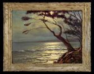 Le Pins Au Clair De Lune Le Pins Au Clair De Lune
