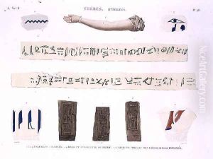 Illustrations of Hieroglyphics and the arm of a mummy from Hypogees by Jomard
