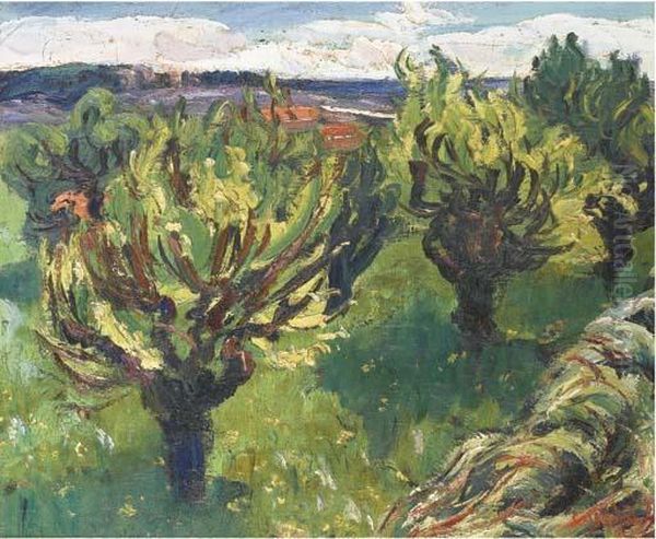 Paysage - view 1