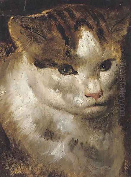 Study of a cat - view 1