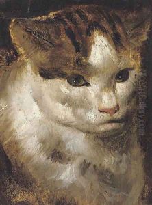 Study of a cat by Jacob Jordaens