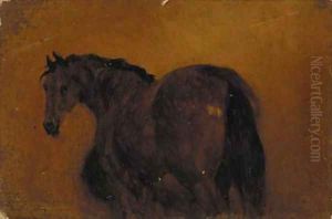 Eight oil sketches of horses