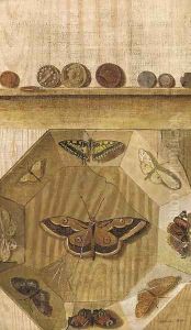 A trompe l'oeil of a butterfly display and coins on a ledge by Gabriel-Germain Joncherie