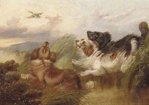 Spaniel putting a mallard up by Paul Jones