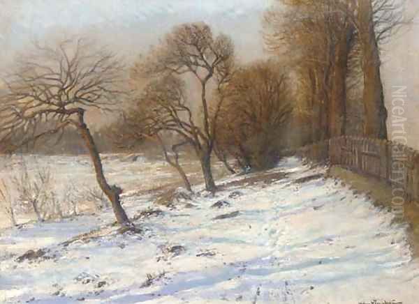 Winter woodland - view 1