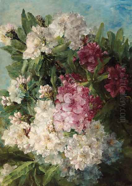 Rhodondendrons - view 1