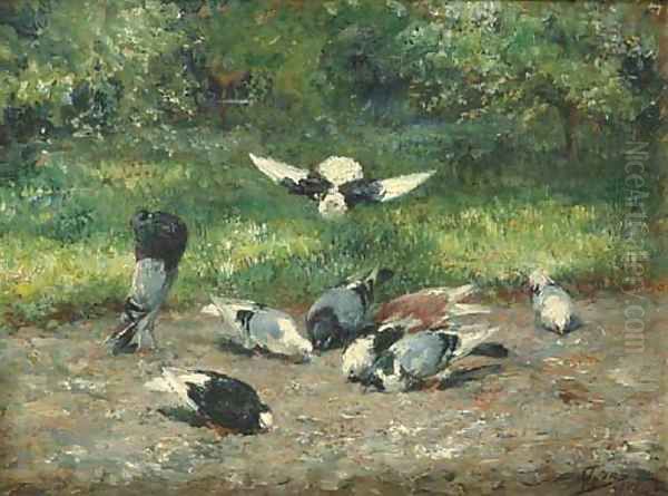 Pigeons - view 1