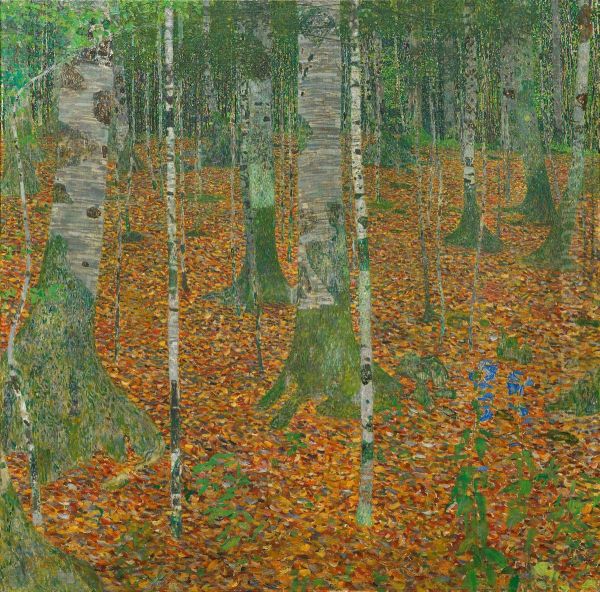 Birch Forest - view 1