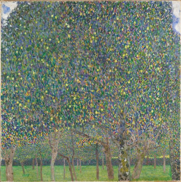The Pear Tree - view 1