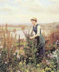 Arranging Flowers