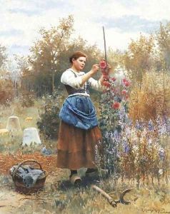 Tying up the Hollyhocks