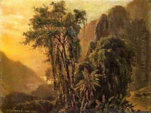 A Glimpse of the Caribbean sea from the Jamaica Mountains by John Frederick Kensett