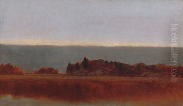 Salt Meadow In October - view 1