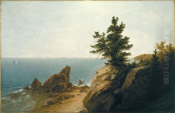 Coast Scene - view 1