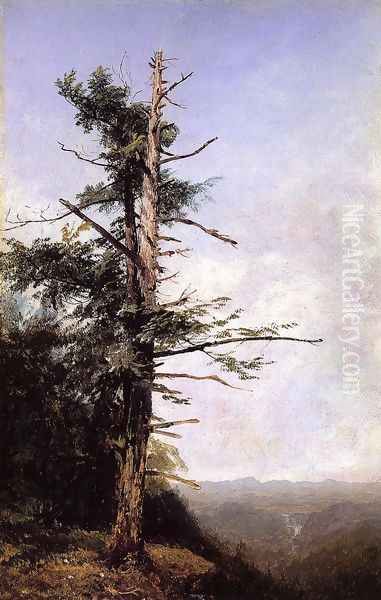 The Hemlock - view 1