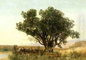 The Front Range, Colorado by John Frederick Kensett
