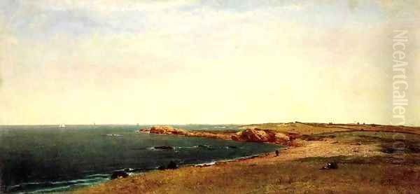Coast at Newport 1869 - view 1