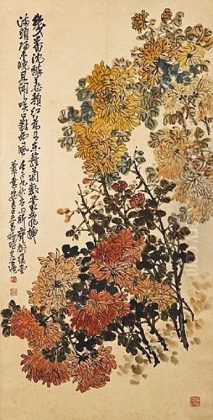Chrysanthemums - view 1