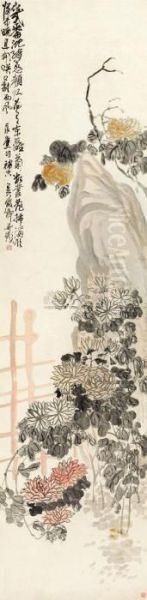 Chrysanthemum - view 1