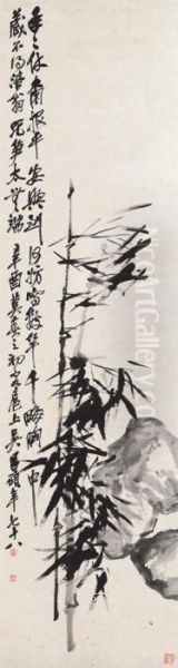 Bamboo - view 1
