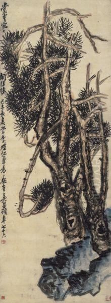 Exotic Pine And Grotesque Rock - view 1