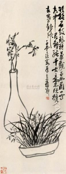 Orchid - view 1