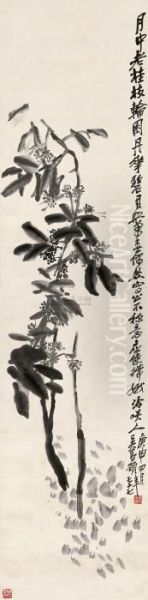 Flower - view 1