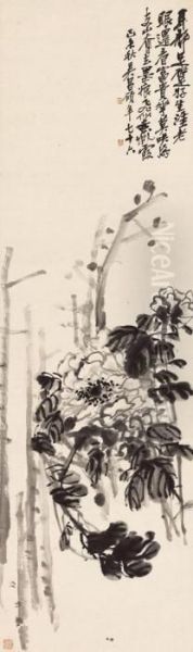 Peony - view 1