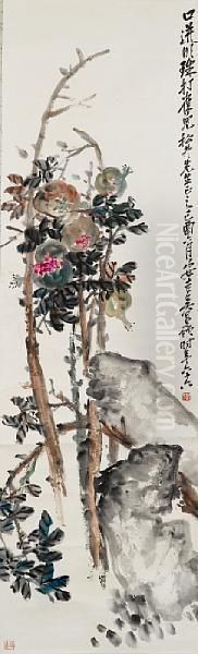 Pomegranate - view 1