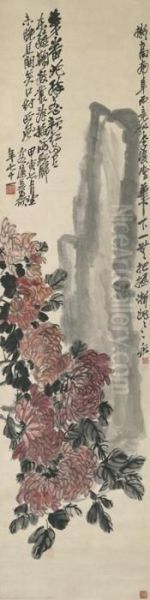 Chrysanthemum - view 1