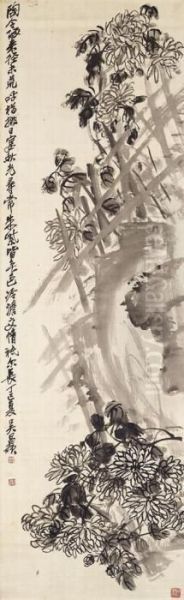 Chrysanthemum - view 1