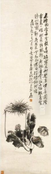 Calamus, Cabbage And Taro - view 1