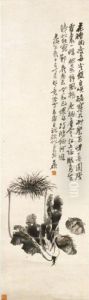 Calamus, Cabbage And Taro Calamus, Cabbage And Taro