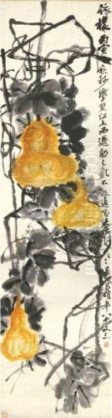 Gourds - view 1