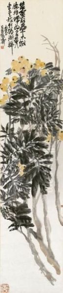 Loquat - view 1