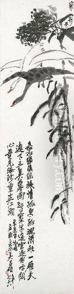 Egrets - view 1