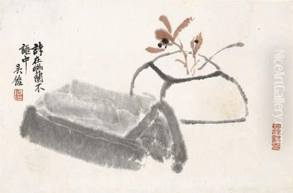 Orchid - view 1