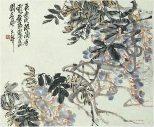Wisteria - view 1
