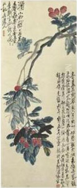 Lychee - view 1