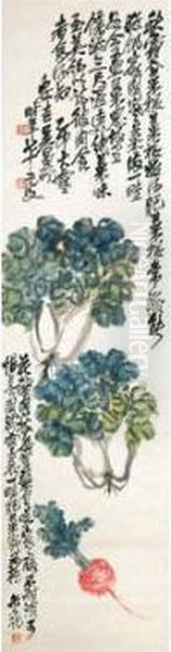 Vegetables - view 1