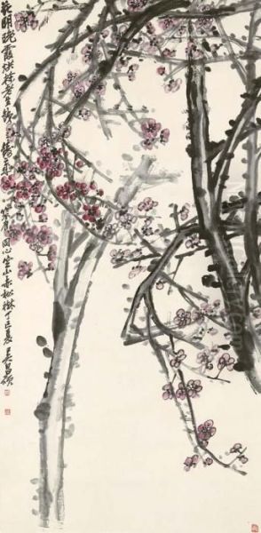 Prunus - view 1