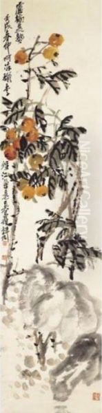 Loquat - view 1
