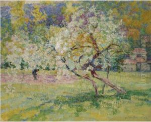Arbres En Fleur Dans La Prairie