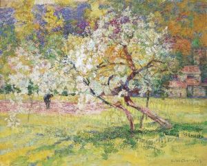 Arbres En Fleurs Dans La Prairie