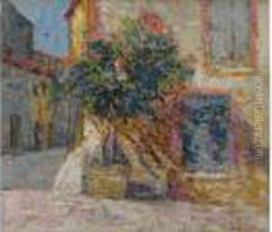 Arbre En Jardiniere Au Coin D Une Maison De Village Arbre En Jardiniere Au Coin D Une Maison De Village