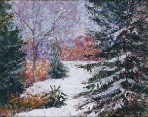 Paysage De Neige